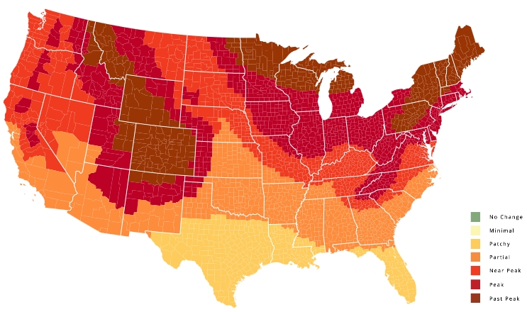 Spring And Fall Map Fall Foliage Prediction Map 2016 | SoCalGIS.org